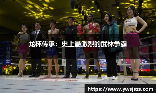 龙杯传承：史上最激烈的武林争霸